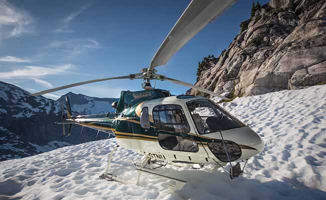Grizzly Helicopters